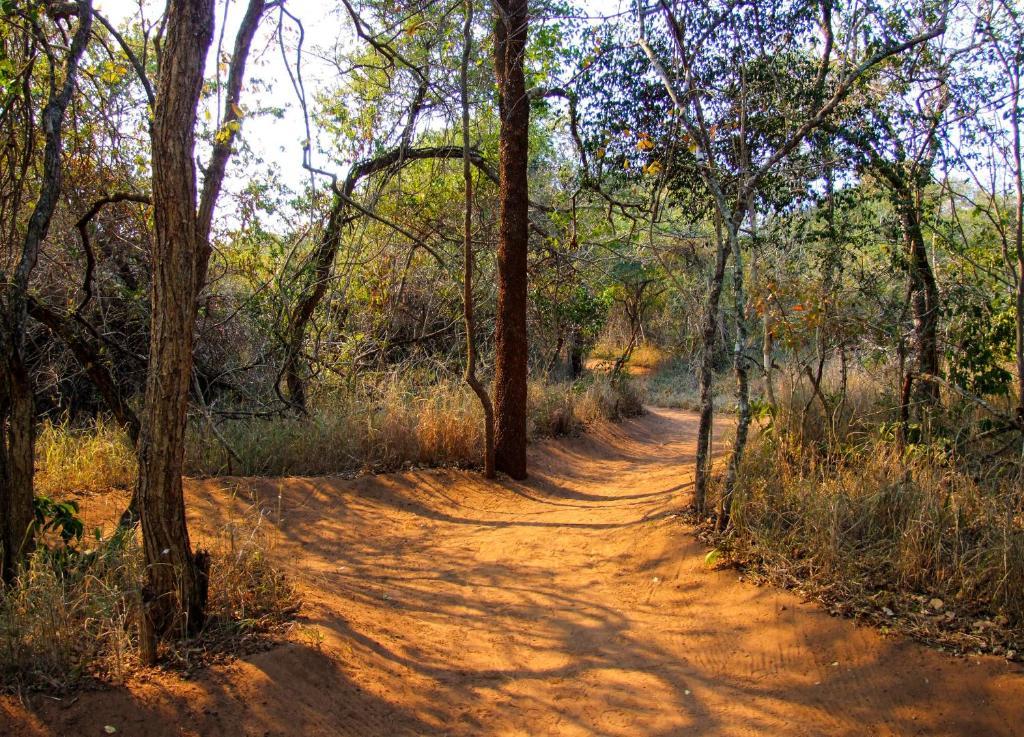 Umkhumbi Lodge Hluhluwe Luaran gambar