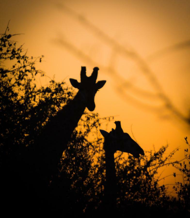 Umkhumbi Lodge Hluhluwe Luaran gambar